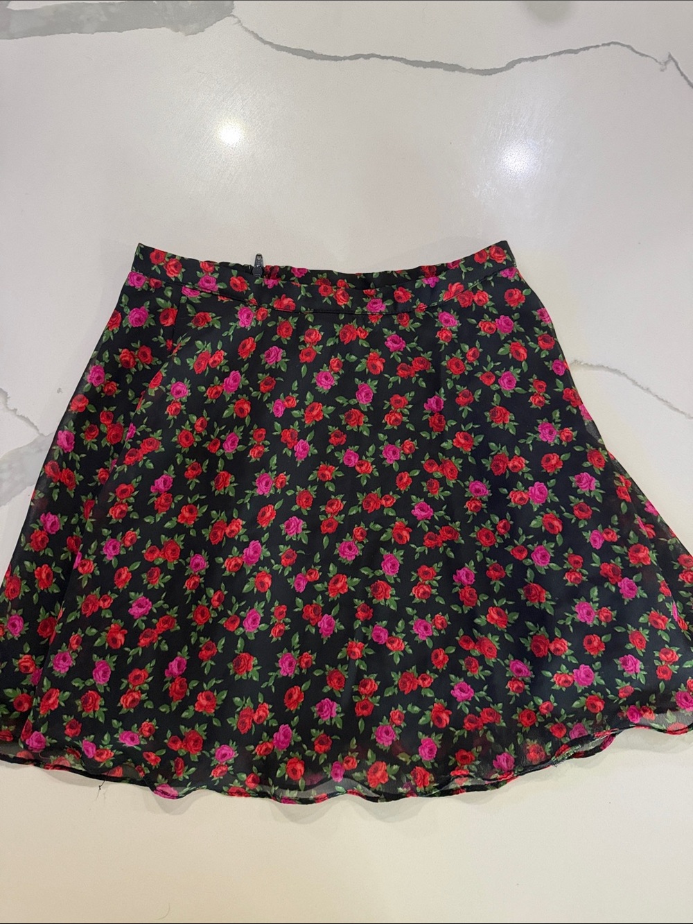 art class Black Skater Skirt with Red & Pink Rose Print